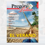 revista