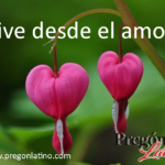 vide desde el amor