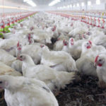 5b6c6c4de9180f15718b4567