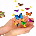 45252637_320015595489627_6983416733654581248_n