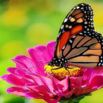 45256653_538171563262061_8968986758909788160_n