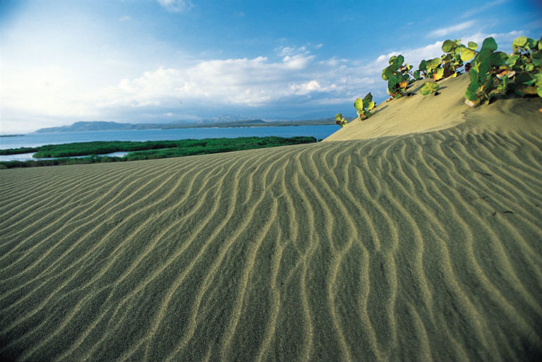 Las Dunas. Un desierto a orillas del mar.