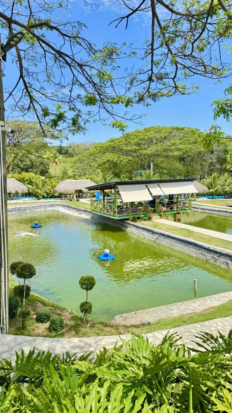 Gastronomía y entretenimiento se unen en Yaguate: una experiencia para toda la familia